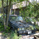 Illustration for article titled A Michigan Town Is Forcing This Man To Sell 20 Old Cars Off His Property Every Month
